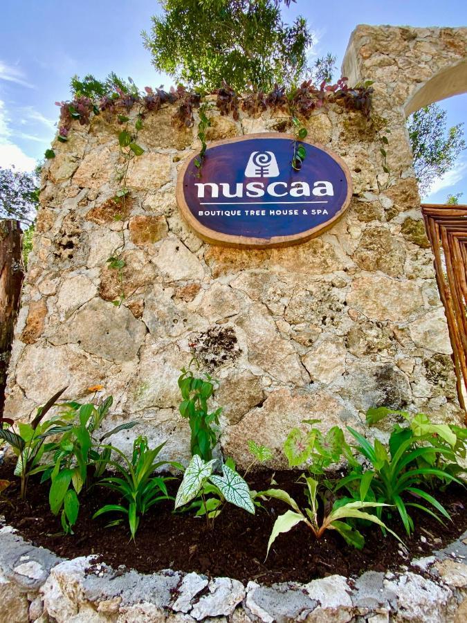 Nuscaa Boutique Tree House & Spa Hotel Puerto Morelos Eksteriør billede