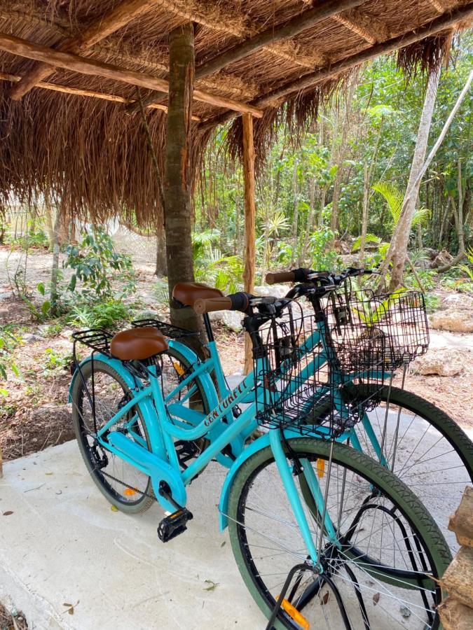 Nuscaa Boutique Tree House & Spa Hotel Puerto Morelos Eksteriør billede