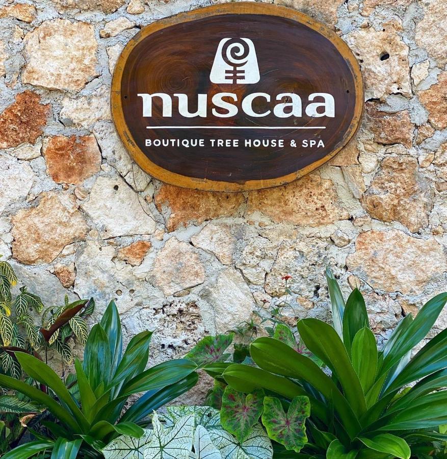 Nuscaa Boutique Tree House & Spa Hotel Puerto Morelos Eksteriør billede
